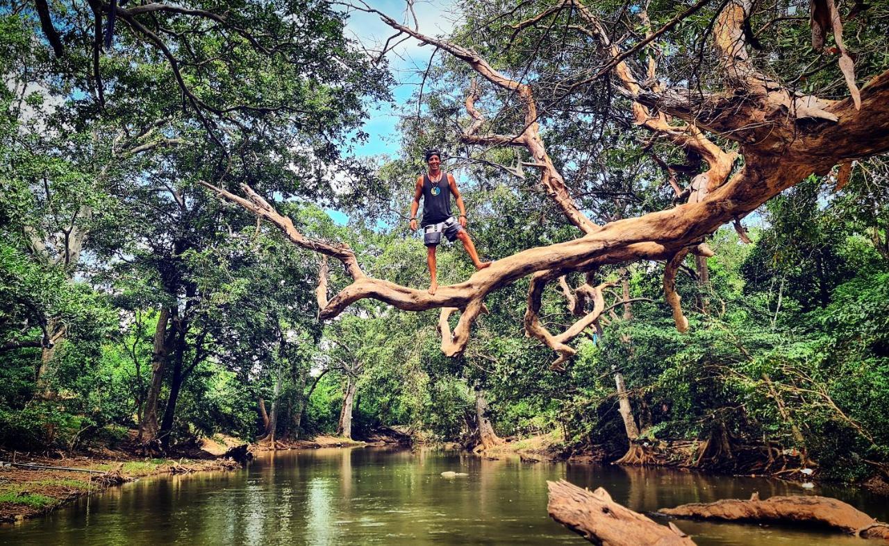 Humbhaha Jungle Yala Nature Eco Resort Kataragama Luaran gambar