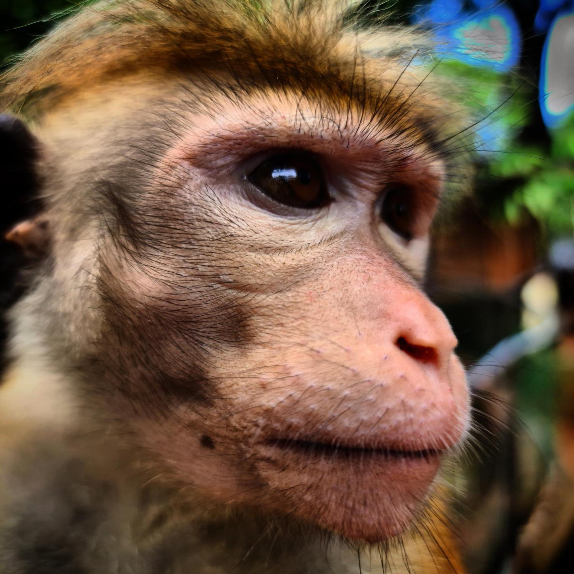 Humbhaha Jungle Yala Nature Eco Resort Kataragama Luaran gambar