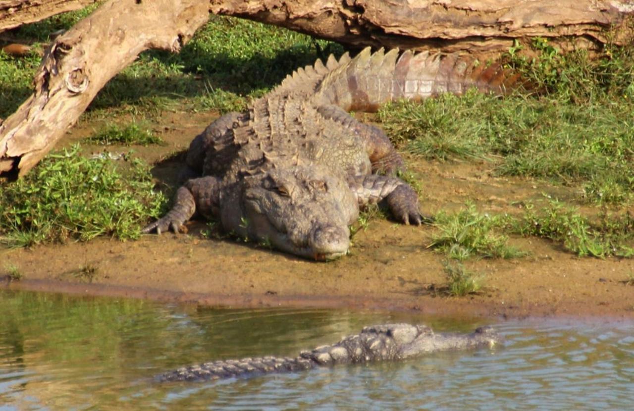 Humbhaha Jungle Yala Nature Eco Resort Kataragama Luaran gambar