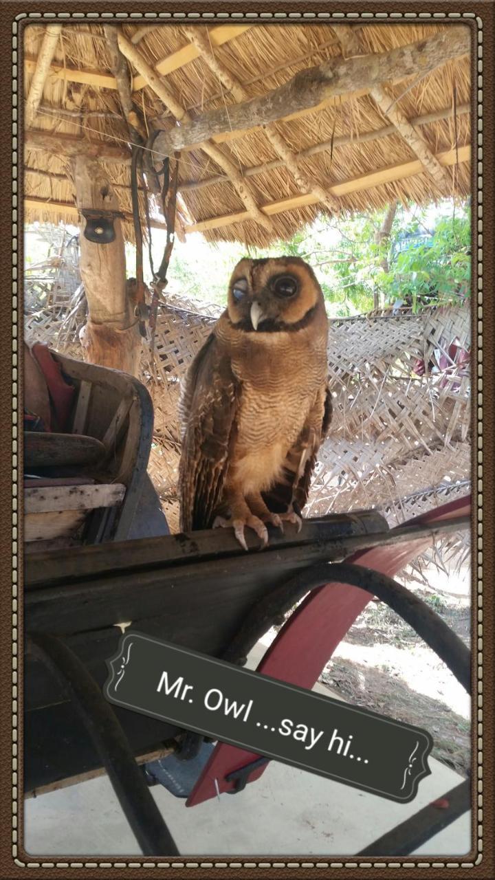 Humbhaha Jungle Yala Nature Eco Resort Kataragama Luaran gambar